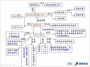 构建知识网络