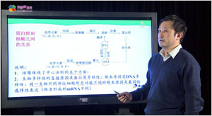 高级教师：刘　峰