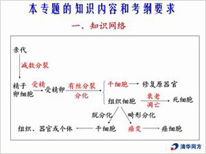 构建知识网络