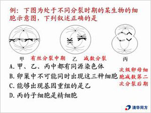 典型题精选精讲