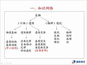 构建知识网络