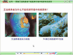 图解艾滋病患者不能抵御环境中病原体的原因