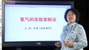 孙莉老师